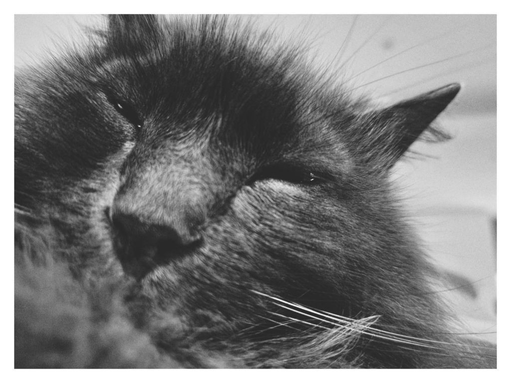 Assorted phone photos